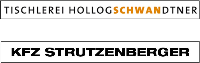logo hollogschwandtner strutzenberger